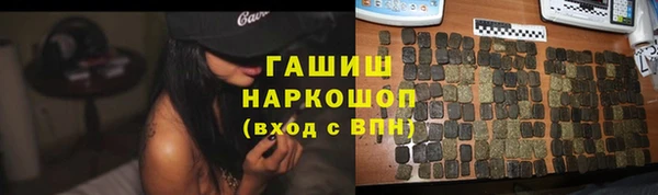 сатива Алзамай
