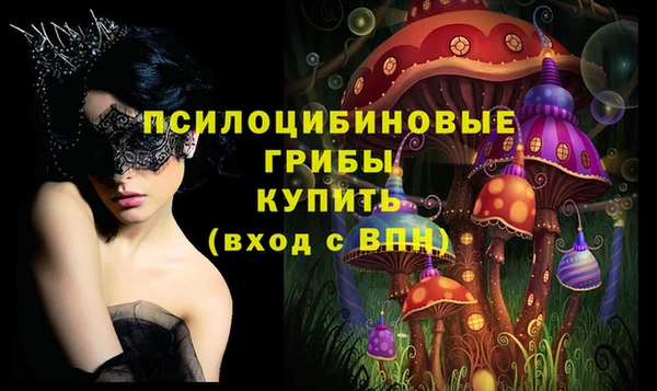 ПСИЛОЦИБИНОВЫЕ ГРИБЫ Алексин