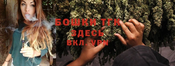 ПСИЛОЦИБИНОВЫЕ ГРИБЫ Алексин