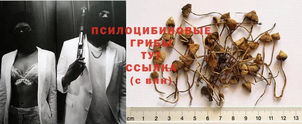 ПСИЛОЦИБИНОВЫЕ ГРИБЫ Алексин