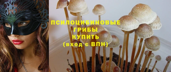spice Алексеевка
