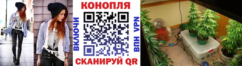 Каннабис AK-47 купить наркотик darknet как зайти Ермолино